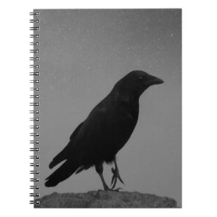 Cuaderno Crow On A Starry Night