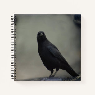 Cuaderno Crow oscuro