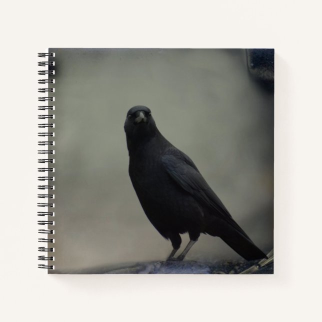 Cuaderno Crow oscuro (Anverso)