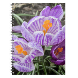 Cuaderno Cruces de Primavera Púrpura.