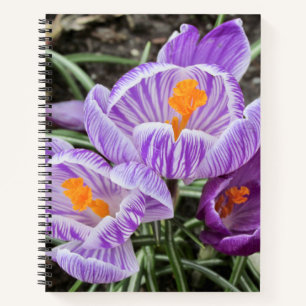 Cuaderno Cruces de Primavera Púrpura.
