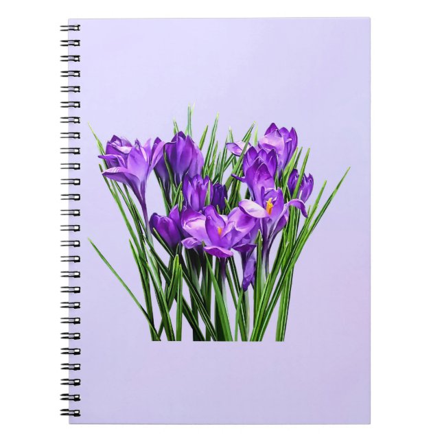 Cuaderno Cruces moradas (Frente)