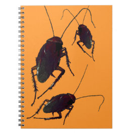 Cuaderno Crunchy Cockroach