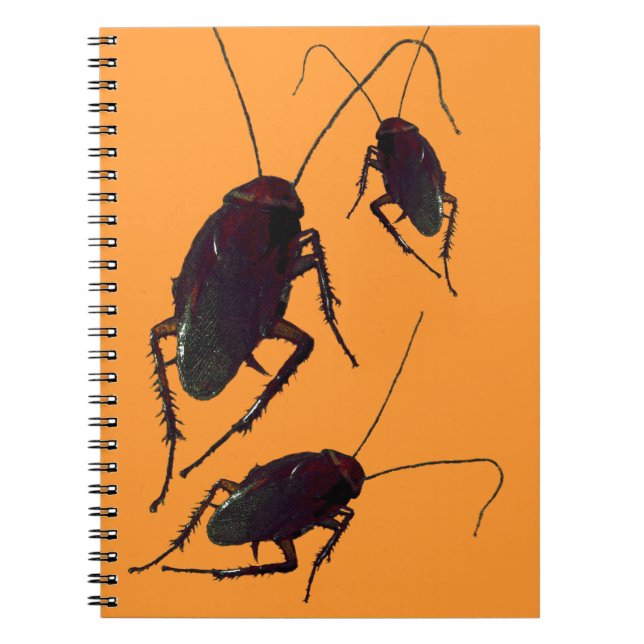 Cuaderno Crunchy Cockroach (Frente)