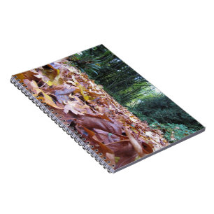 Cuaderno "Cuaderno de la foto del rastro del otoño" (80