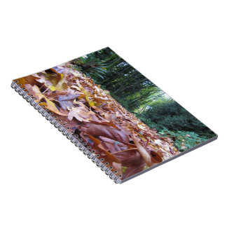 Cuaderno "Cuaderno de la foto del rastro del otoño" (80