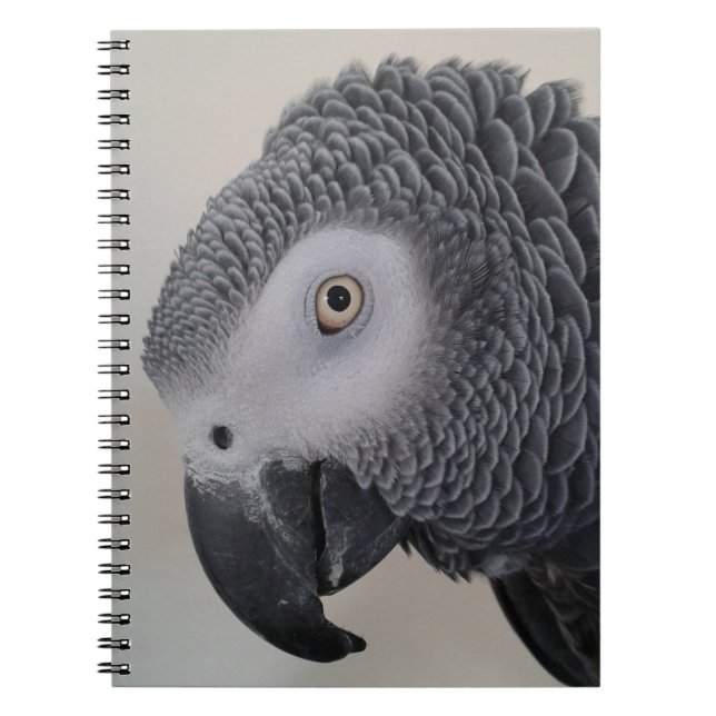 Cuaderno Cuaderno/diario del loro del gris africano (Frente)