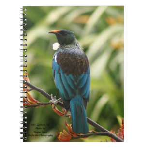 Cuaderno Cuaderno, pájaro de Nueva Zelanda Tui