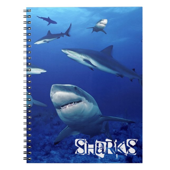 Cuaderno Cuaderno-Tiburones (Frente)