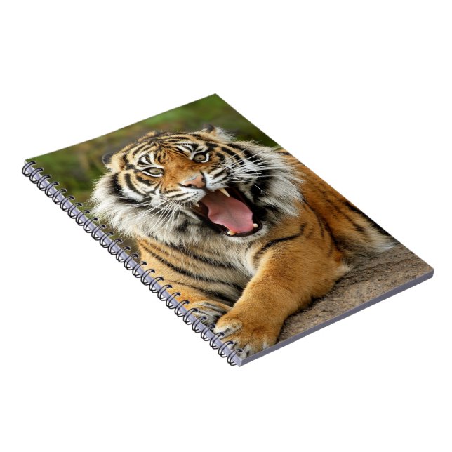 Cuaderno Cuaderno-Tigre (Lado Derecho)