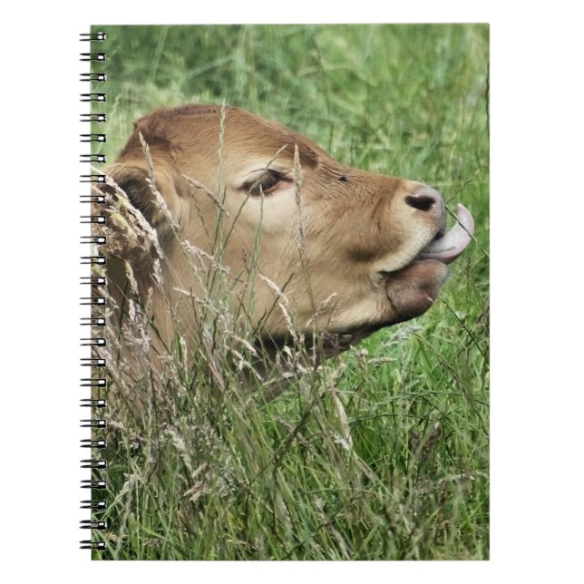 CUADERNO CUADRAR VACA (Frente)