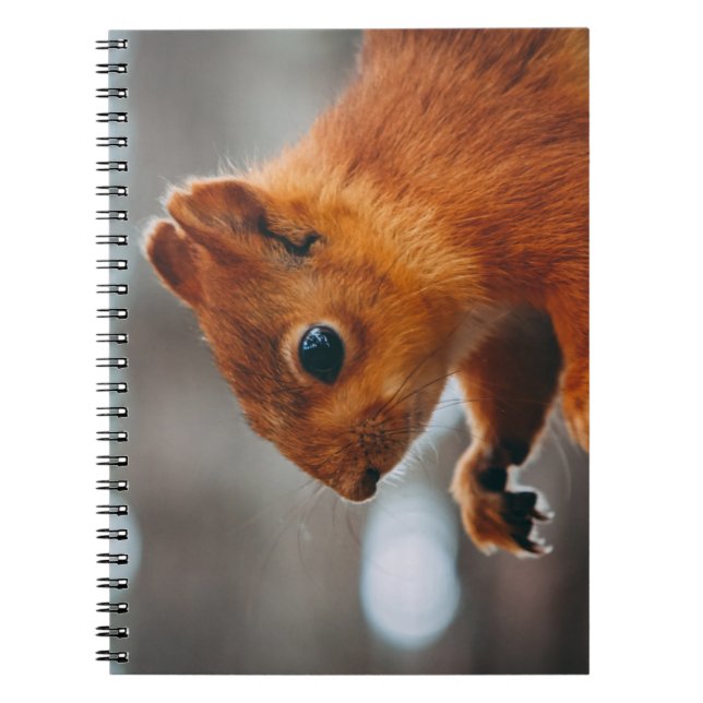 CUADERNO CUADRÍCULA EN TRUNK DE ÁRBOL (Frente)