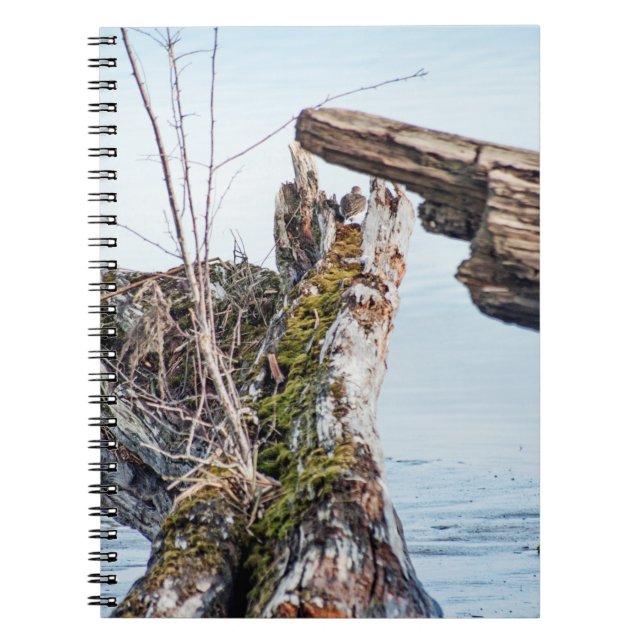 Cuaderno Cuadro de visualización (Frente)