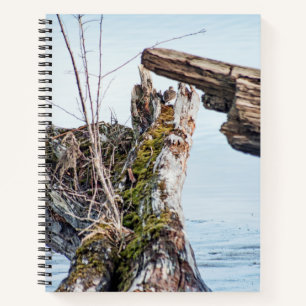 Cuaderno Cuadro de visualización