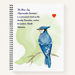 Cuaderno Cuadros de acuarela azul