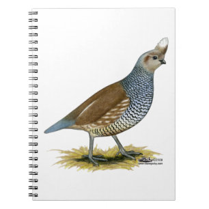 Cuaderno Cual escalada