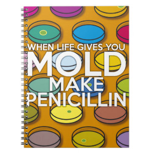 CUADERNO CUANDO LA VIDA TE DA MOHECILLO HAZ PENICILINA