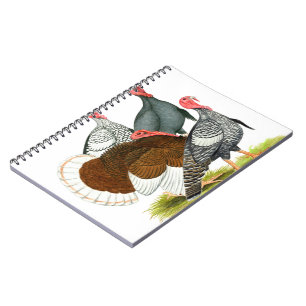 Cuaderno Cuarteto de Turquía poco común