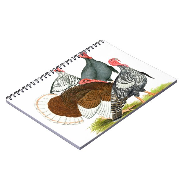 Cuaderno Cuarteto de Turquía poco común (Lado Izquierdo)