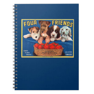 Cuaderno Cuatro amigos