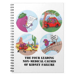 Cuaderno Cuatro causas principales de la insuficiencia