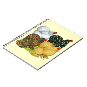 Cuaderno Cuatro Cochin Hens