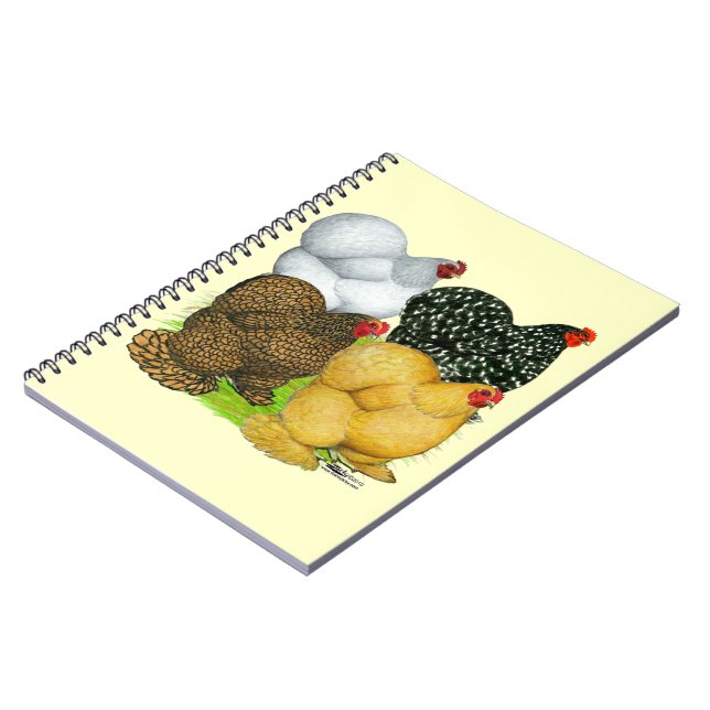 Cuaderno Cuatro Cochin Hens (Lado Izquierdo)