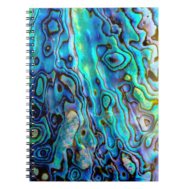 Cuaderno Cubierta de Abalone (Frente)