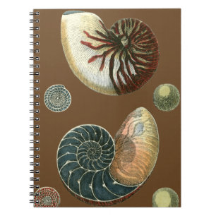 Cuaderno Cubierta de cacao