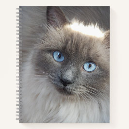 Cuaderno Cubierta de gatos-diario espiral sin líneas