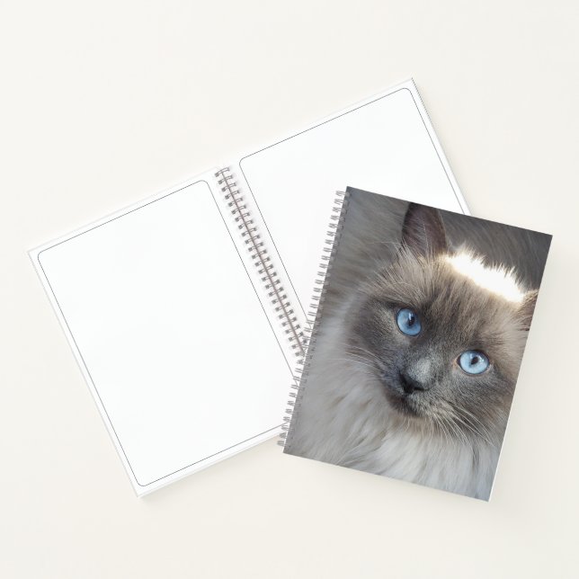 Cuaderno Cubierta de gatos-diario espiral sin líneas (Interior)