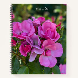 Cuaderno Cubierta dura rosa de lavanda