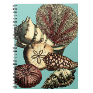 Cuaderno Cubierta turquesa y colección de corales rojos