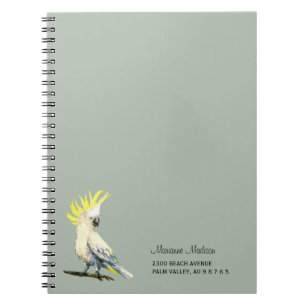 Cuaderno Cucharadilla de azufre