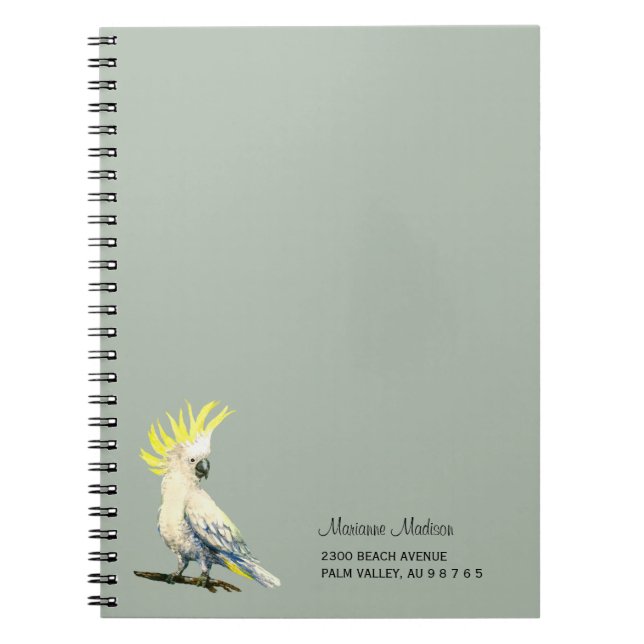 Cuaderno Cucharadilla de azufre (Frente)