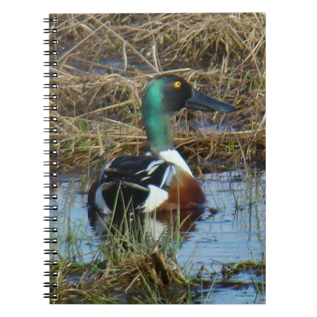 Cuaderno Cucharón Norteño Macho (Frente)