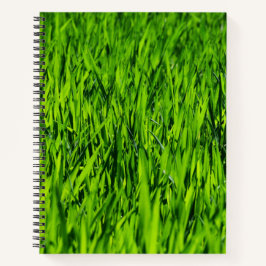 Cuaderno Cuchillas altas de hierba