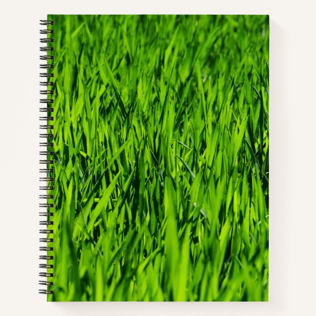 Cuaderno Cuchillas altas de hierba (Anverso)