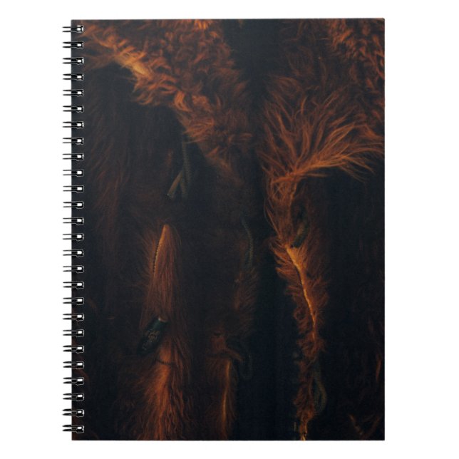 Cuaderno Cuchillo de piel marrón (Frente)