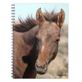 Cuaderno Cuenca de lavado de arena