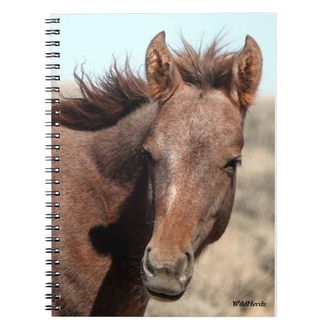 Cuaderno Cuenca de lavado de arena (Frente)