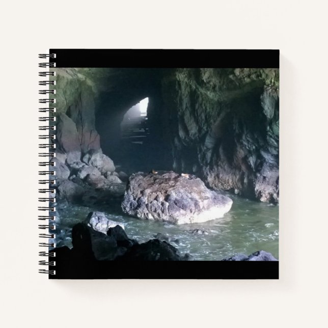 Cuaderno Cueva de león marino, O (Anverso)
