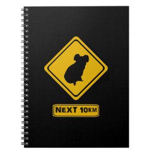 Cuaderno cuidado con koalas