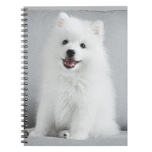 Cuaderno Cuidadosa y esponjosa espitz japonesa (Frente)