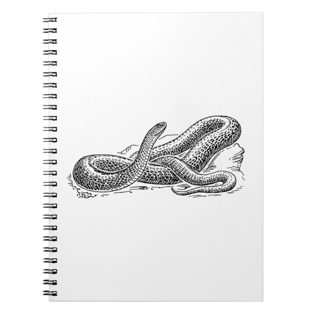Cuaderno Culebra (Frente)