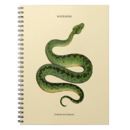 Cuaderno Culebra Verde Africana 