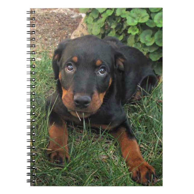Cuaderno culpable del perrito de Rottweiler (Frente)
