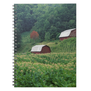 Cuaderno Cultivo de tabaco y par de graneros de tabaco rojo