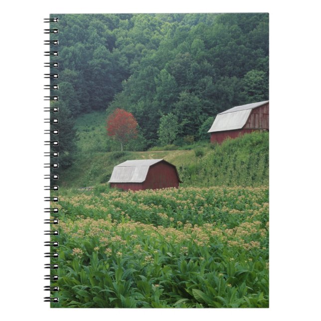 Cuaderno Cultivo de tabaco y par de graneros de tabaco rojo (Frente)