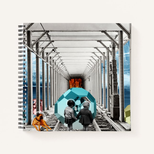 Cuaderno curiosidad (Anverso)